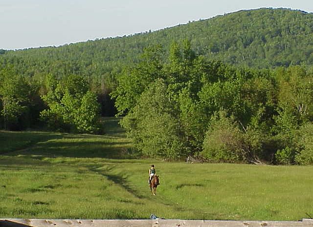 Pasture/field