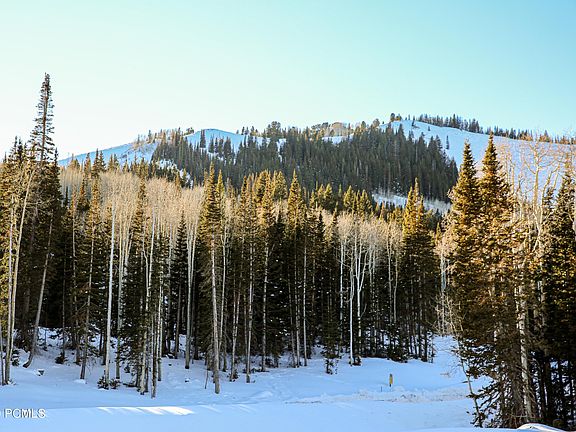 5th image of 315 White Pine Canyon Rd Lot 315