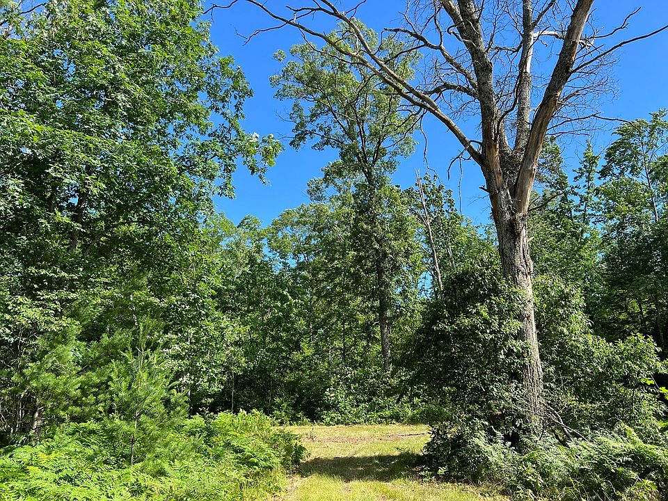 20827 Hoxeyville Rd, Wellston, MI 49689 Zillow