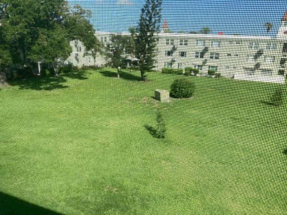 View out Florida Room