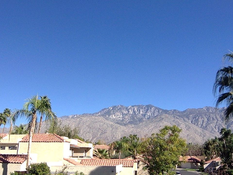 View from our back deck