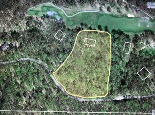 24 Forest Trl, Bellaire, MI 49615