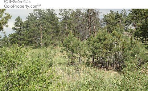 5th image of 480 Lizard Head Mountain Dr