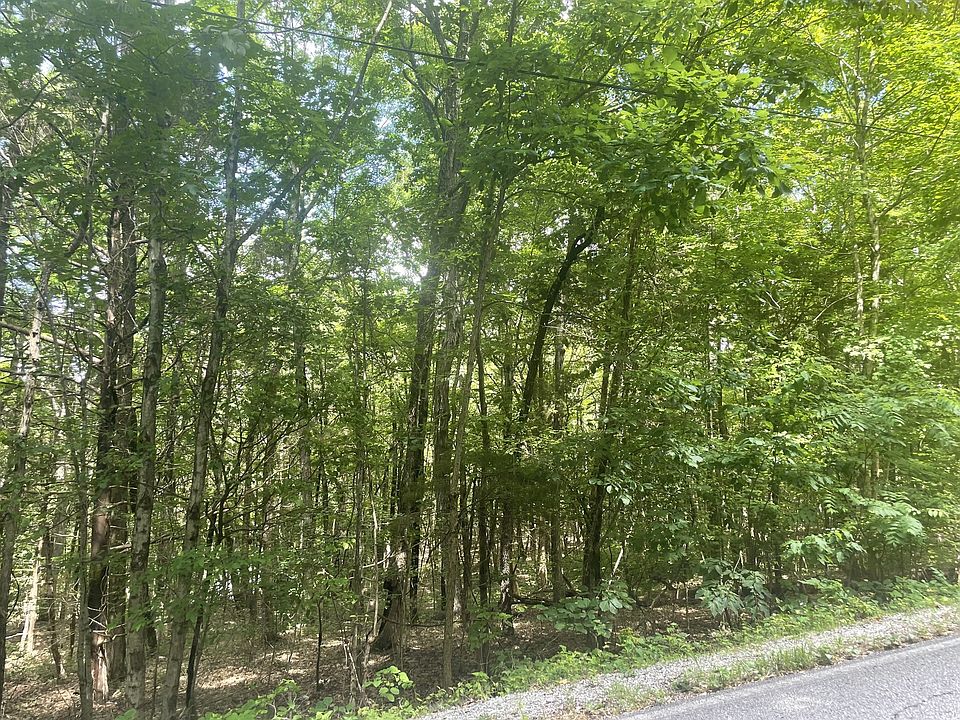 2nd image of 0 Roarks Cove Rd