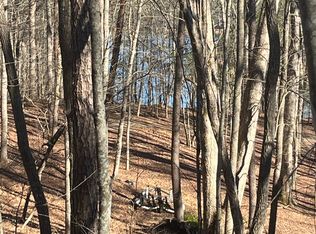 0 Campbell Camp Cir, Blue Ridge, GA 30513