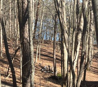 0 Campbell Camp Cir, Blue Ridge, GA, 30513