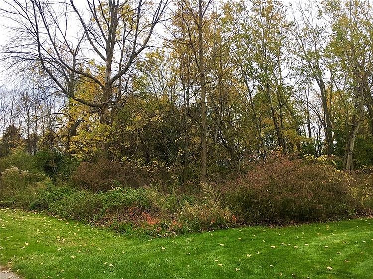 2nd image of 49 Shrubbery Ln
