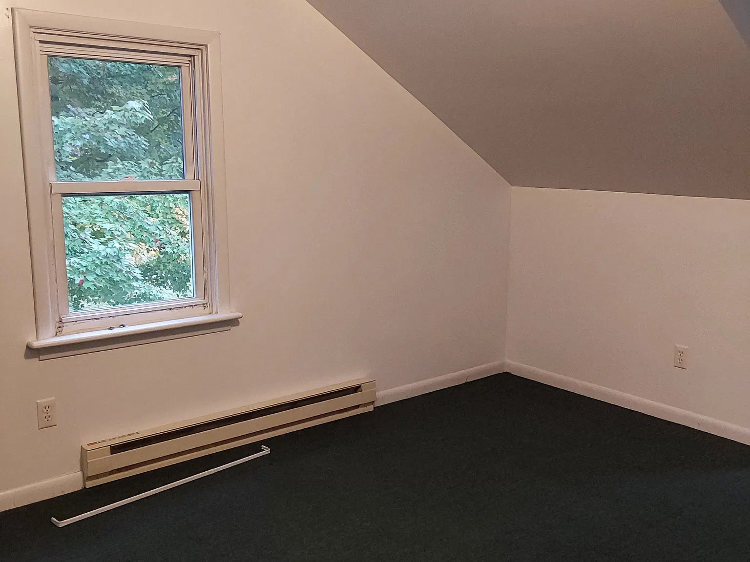 1 bed, 400 sqft, $800 — Photo 3