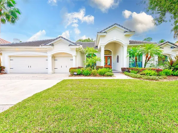 9915 TREE TOPS LAKE ROAD, TAMPA, FL 33626