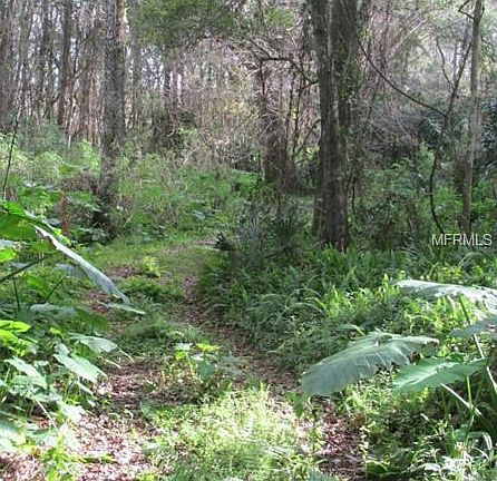 2nd image of 32906 Darby Trails