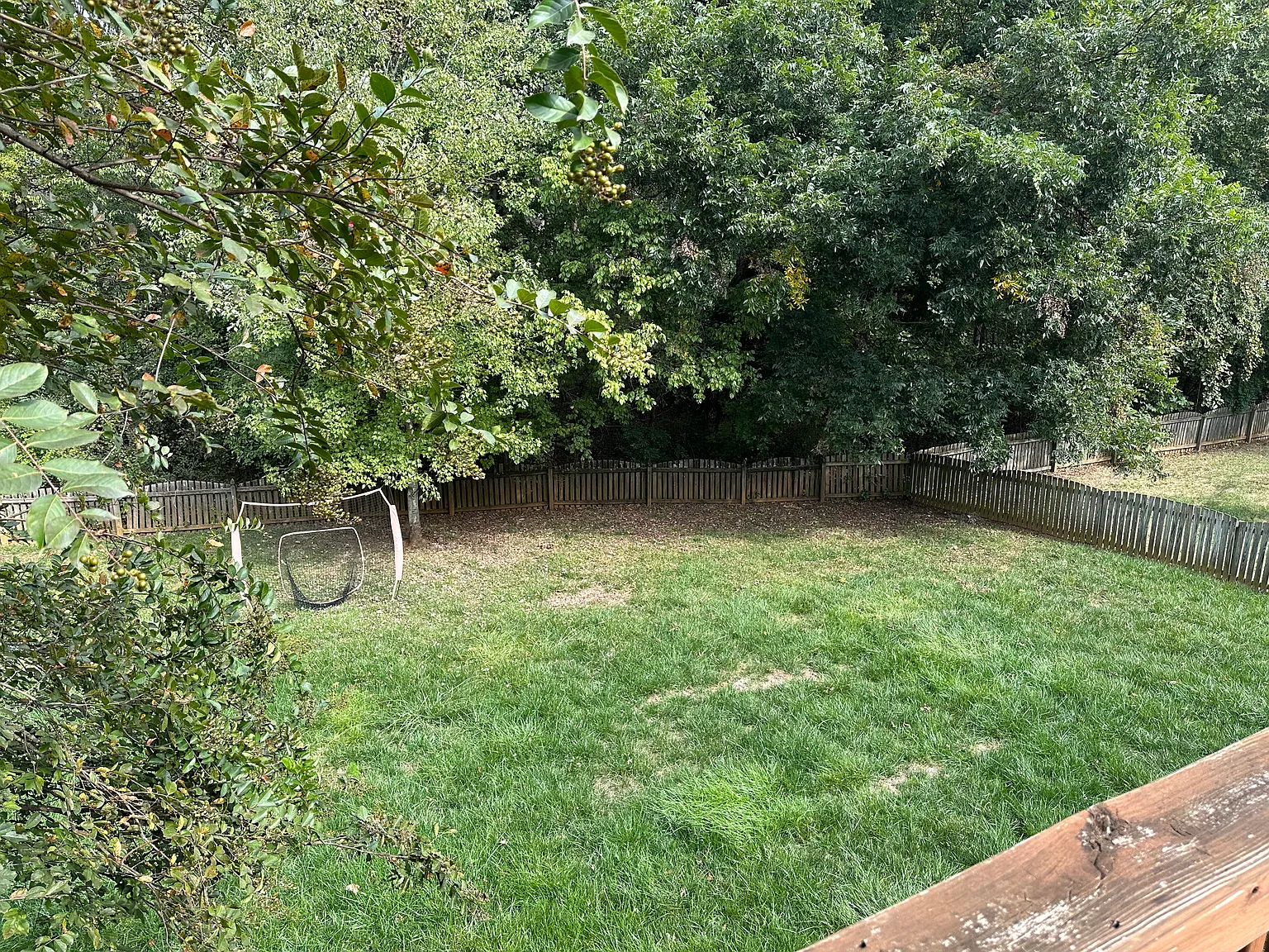 6 bed, 3.5 bath, 4663 sqft, $4,500 — Photo 4