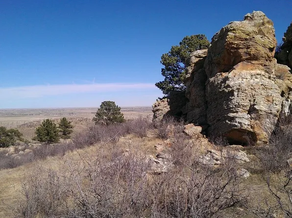 4318 Green Mile Dr, Laporte, CO 80535