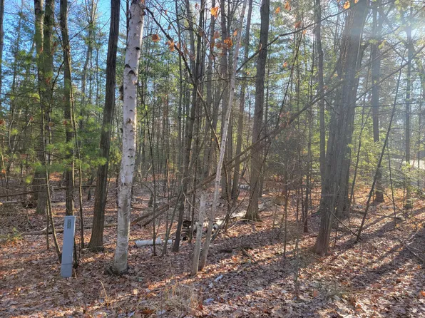 Northern Oaks Dr, Houghton Lake, MI 48629