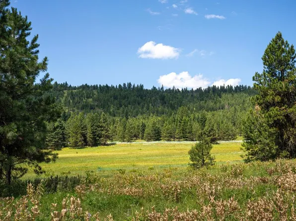 5609 Lupine Ln, McCall, ID 83638