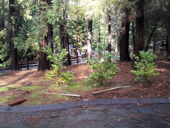 Center front yard below driveway