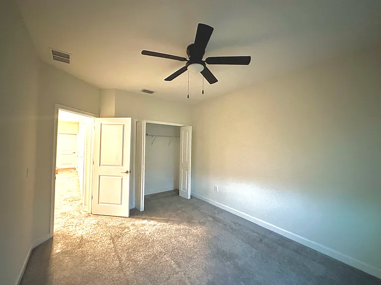 11066 Whistling Pine Way — Photo 13