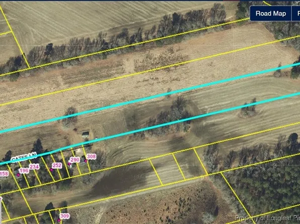 Walter Gibson Rd, Raeford, NC 28376