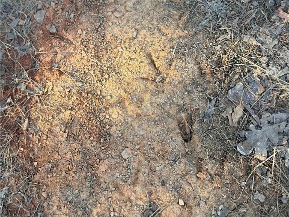 4th image of TRACT Two Rural