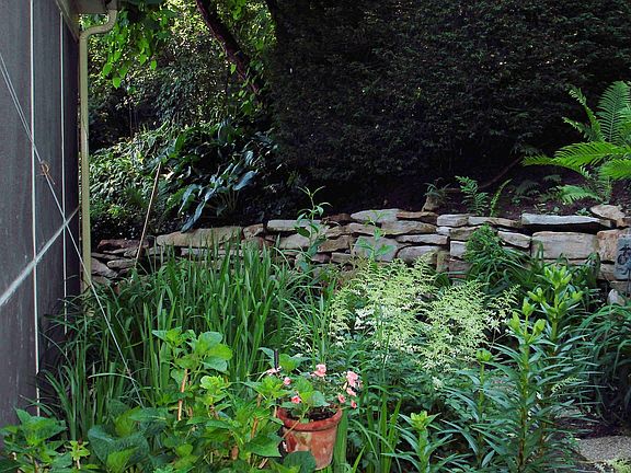 Luscious backyard paradise!