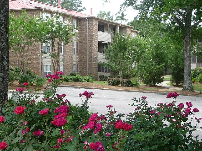 Tree-filled condo community