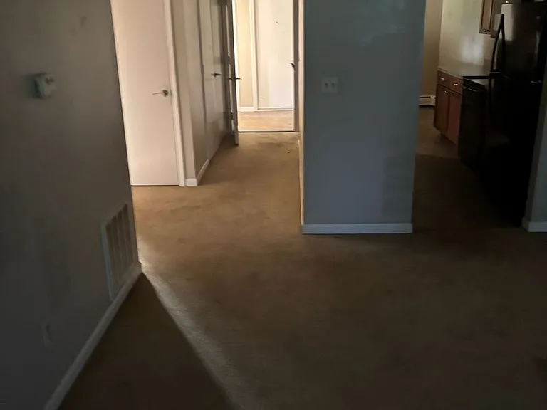 31451 Burt Ct — Photo 6