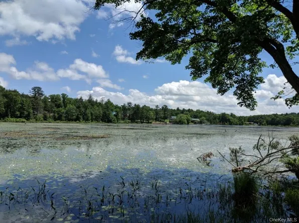 Lot 9.1 Elle Drive, Glen Spey, NY 12737