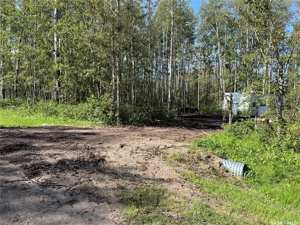 7 Buffalo Pound ROAD, Big River Rm No. 555, SK S0J 0E0