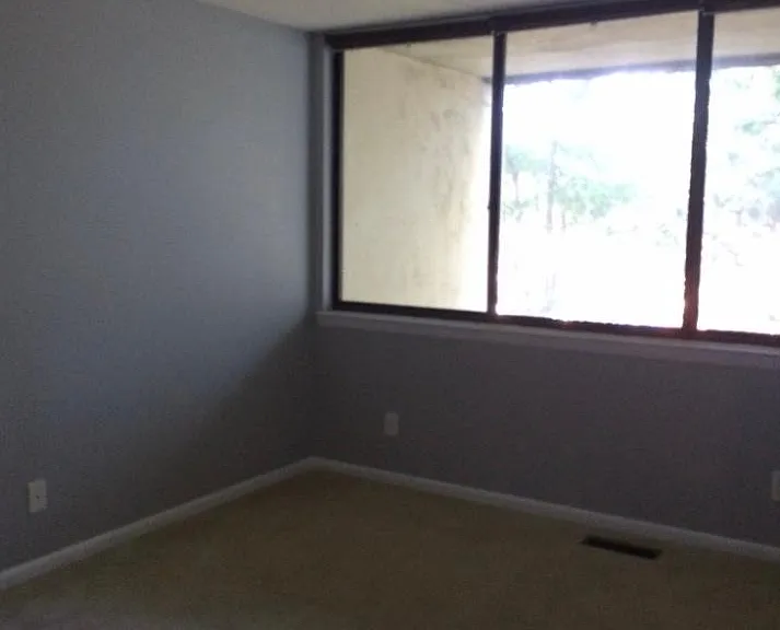 Bedroom 3 with small closet with shelving and windows overlooking the woods