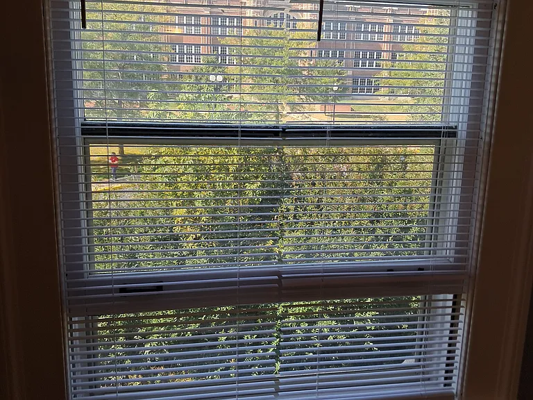 300 2nd Ave NW #3 — Photo 39