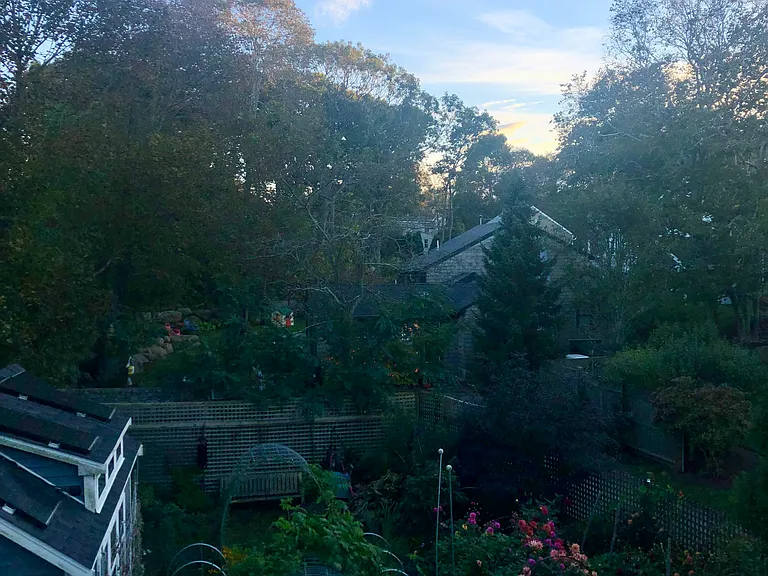 View from Deck