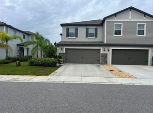 1585 Roseville St, Lutz, FL 33549
