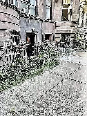 Rented by PennApts | media 13