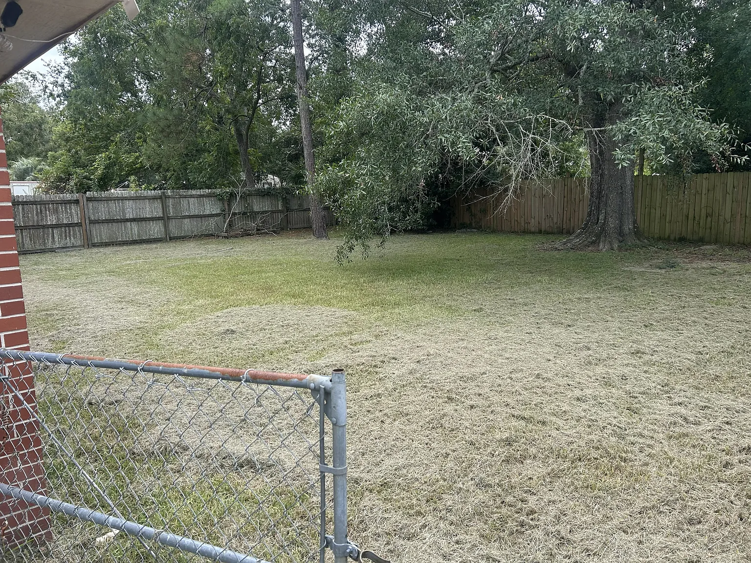 3 bed, 975 sqft, $1,000 — Photo 2