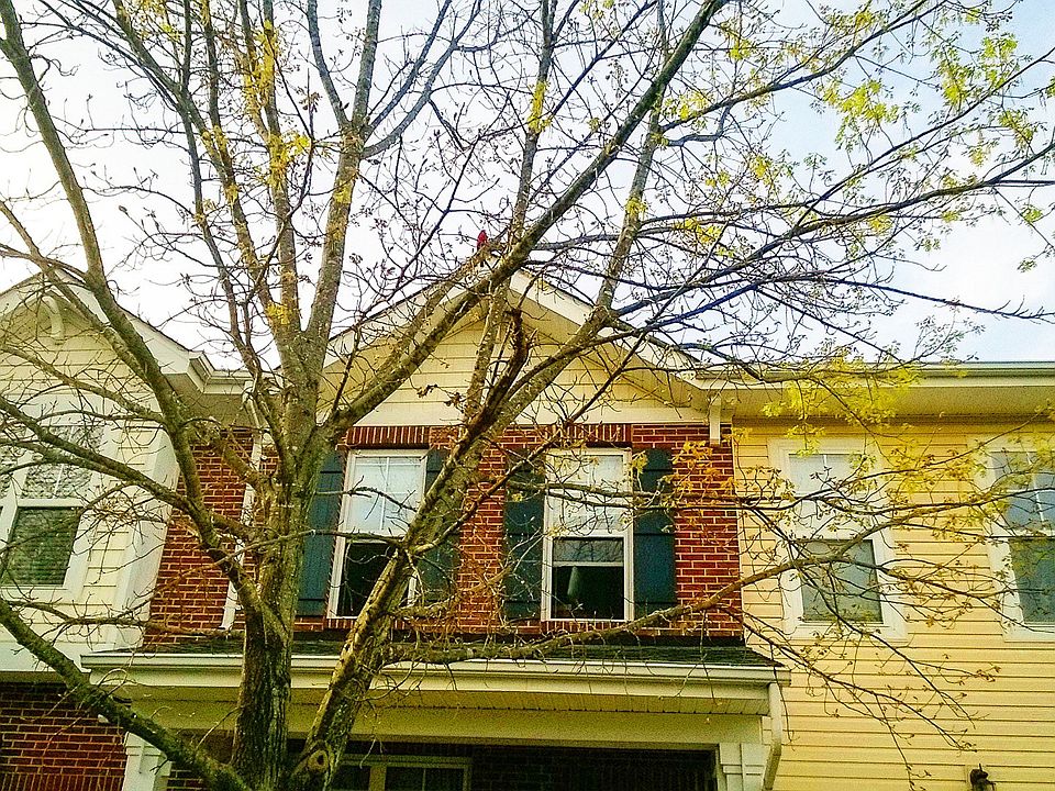 2nd image of 10986 Princeton Village Dr