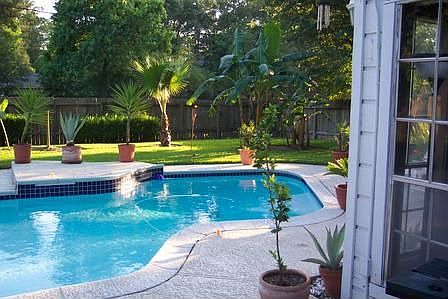 Back Yard and Pool 2