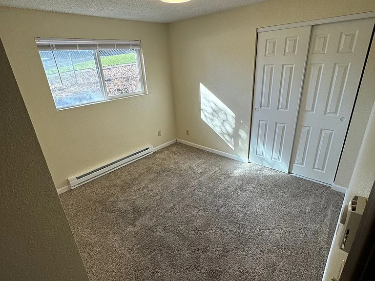 Pinewood Apartments — Photo 9