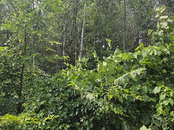 5th image of 38.10 ACRES OLD RAIL ROAD