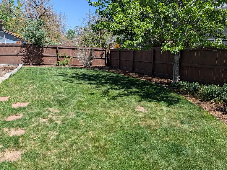Open backyard