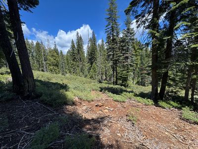 Spruce Ln, Strawberry Valley, CA, 95981