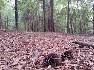 Williams Rd, Defuniak springs, FL 32433