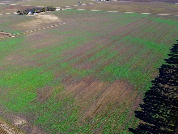 5th image of 1393 County Road 508