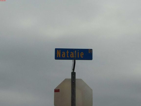 5th image of 7352 Natalie Dr