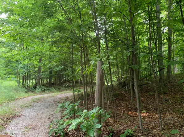 Enger Rd, Posen, MI 49776