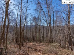 3000 Elk River Rd, Elk Park, NC 28622