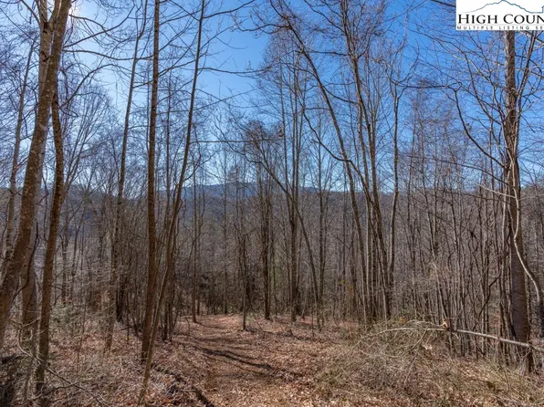 3000 Elk River Road, Elk Park, NC 28622