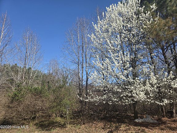 2nd image of 232 Winfall Cir Lot 121