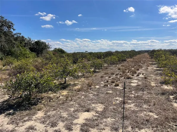 Lawrence Stewart Rd, Frostproof, FL 33843