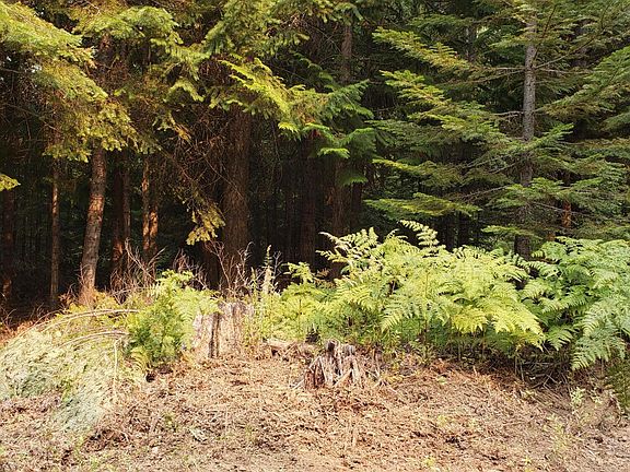 5th image of 80 E Ridge Dr Tract 8