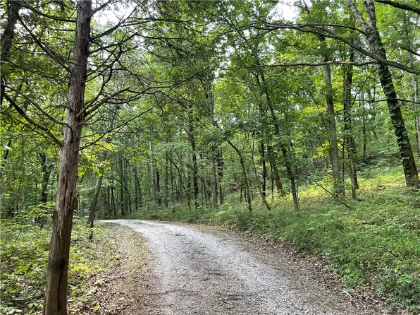 Hazel Valley Rd, Elkins, AR 72727