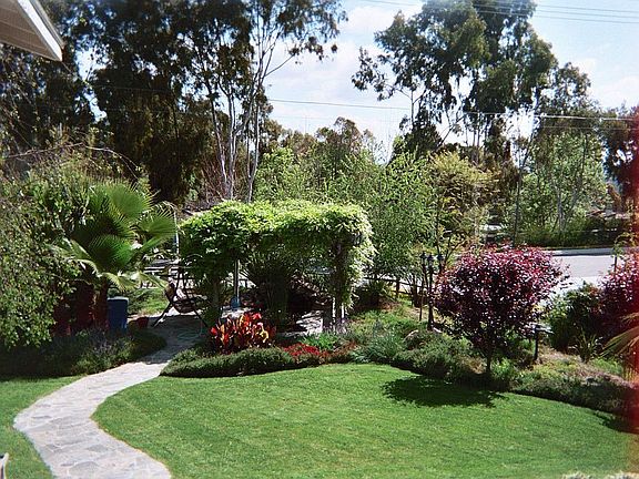 front yard from front door